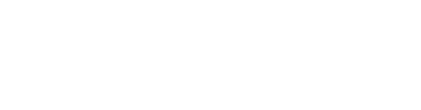 accenture.png